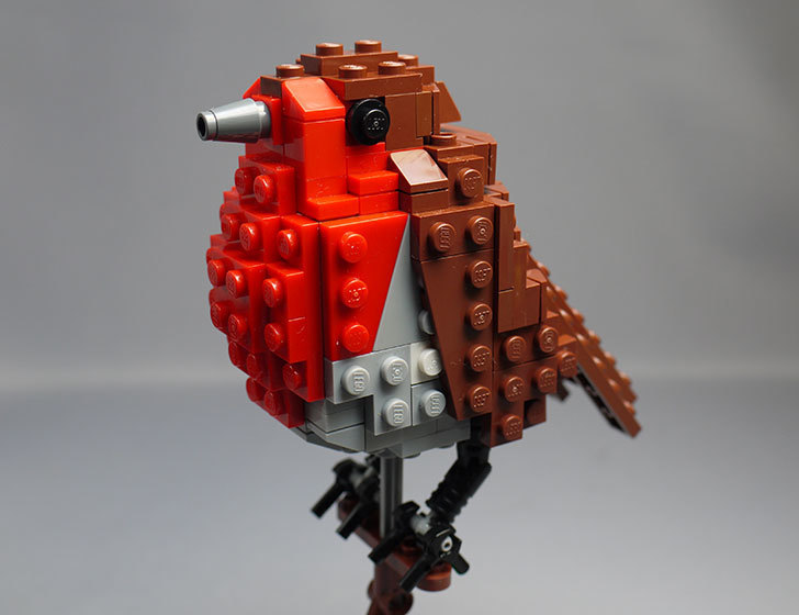 LEGO-21301-世界の鳥-21301を作った1-1.jpg