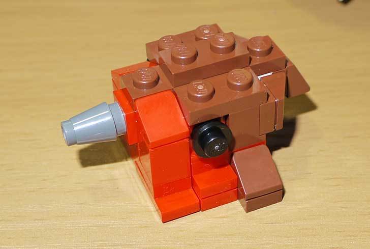 LEGO-21301-世界の鳥-21301を作った1-53.jpg
