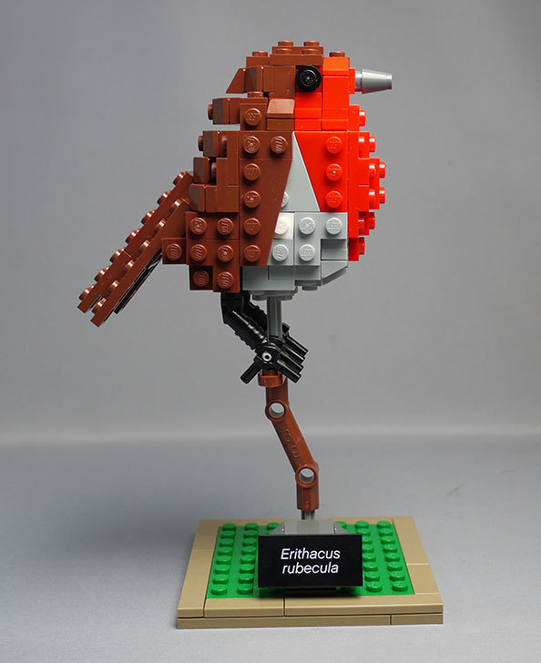LEGO-21301-世界の鳥-21301を作った1-63.jpg
