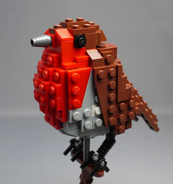 LEGO 21301 世界の鳥を作った。<1> ヨーロッパコマドリ(Erithacus