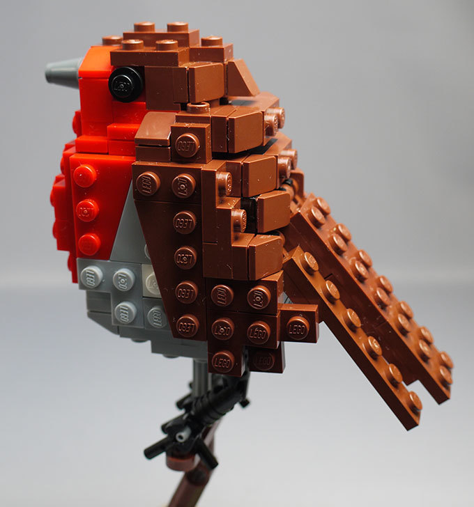 LEGO-21301-世界の鳥-21301を作った1-67.jpg