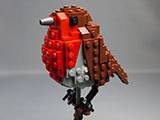 LEGO-21301-世界の鳥-21301を作った1完成品表示用1.jpg