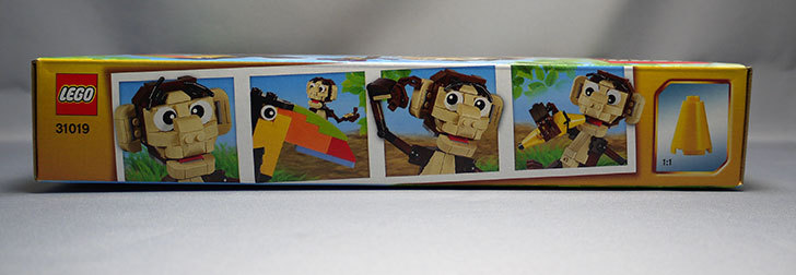 LEGO-31019-クリエイター・モンキー&バードが来た3.jpg