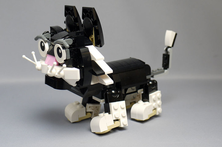 LEGO-31021-クリエイター・キャット&マウスを作った1-24.jpg