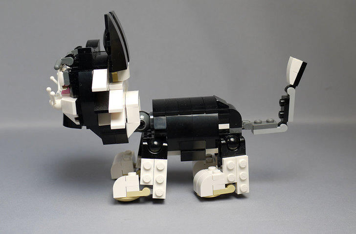LEGO-31021-クリエイター・キャット&マウスを作った1-25.jpg