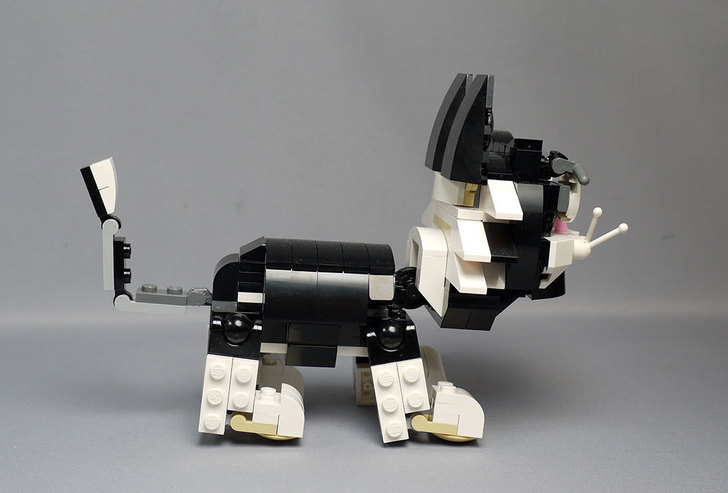LEGO-31021-クリエイター・キャット&マウスを作った1-29.jpg