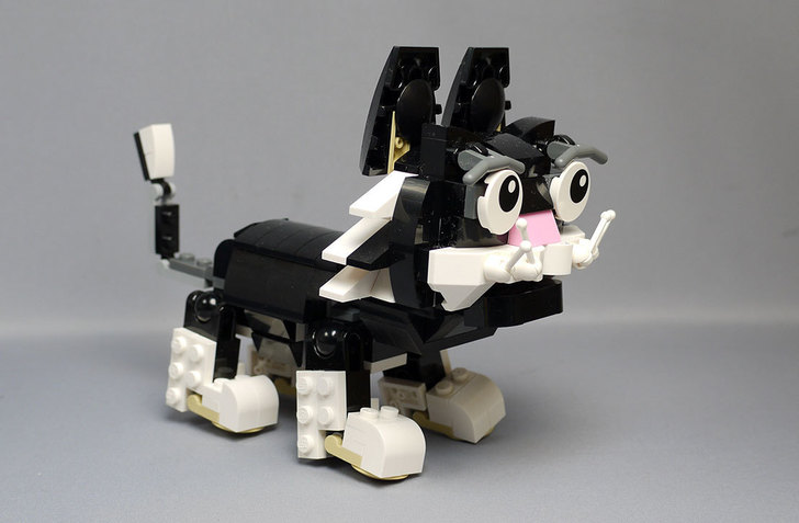LEGO-31021-クリエイター・キャット&マウスを作った1-30.jpg