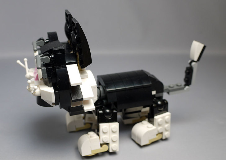 LEGO-31021-クリエイター・キャット&マウスを作った1-32.jpg
