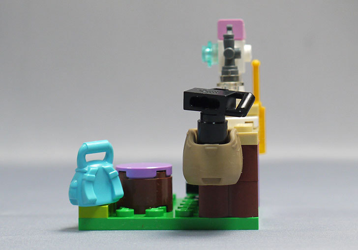 LEGO-41059-サンクチュアリジャングルツリーを作った22.jpg