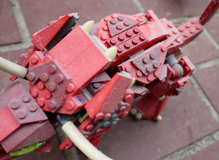 LEGO-4892-トリケラトプスの掃除をした3.jpg