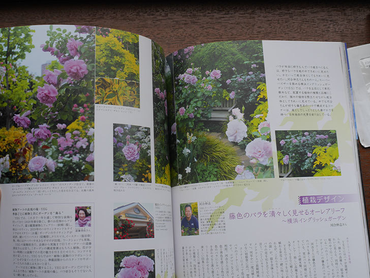 New Roses SPECIAL EDITION for 2021 Vol.28を買った-002
