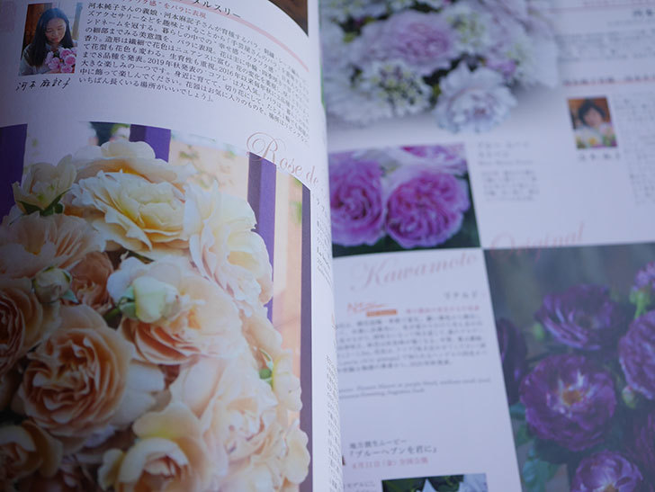 New Roses SPECIAL EDITION for 2021 Vol29を買った-004.jpg