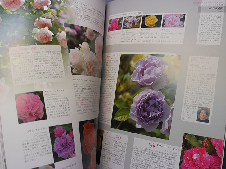 New Roses SPECIAL EDITION for 2022 Vol 30を買った-003.jpg