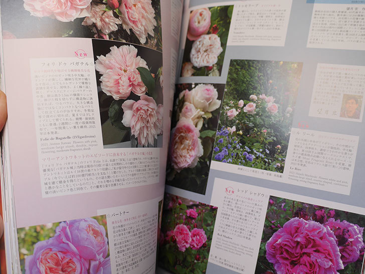 New Roses SPECIAL EDITION for 2022 Vol 30を買った-004.jpg